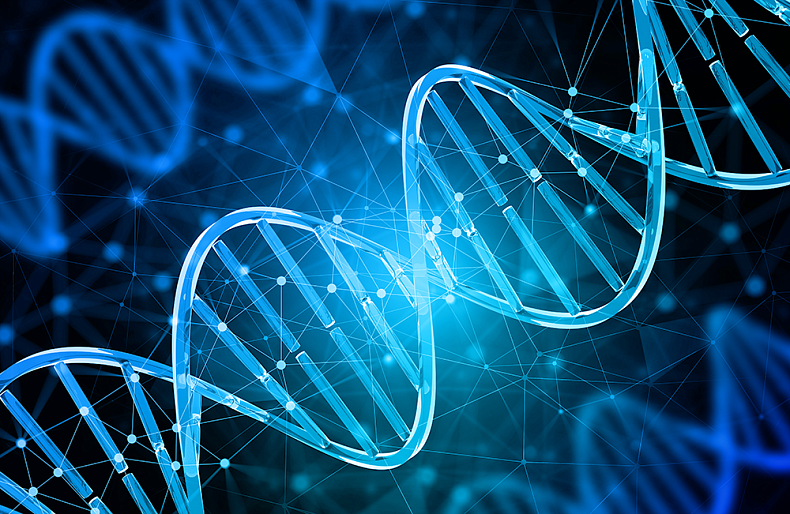 Запуск курса "Разработка биоинформатических пайплайнов"