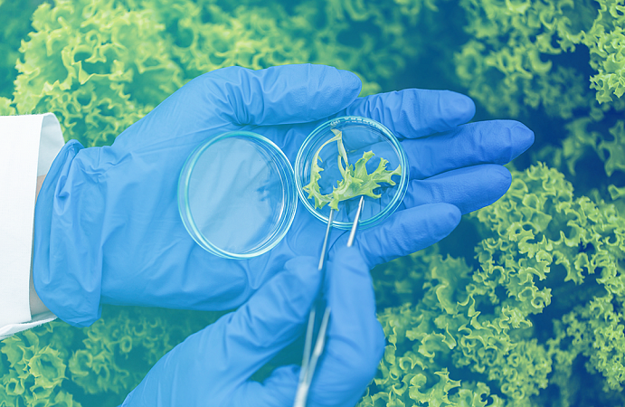 Линейные модели для предсказания племенной ценности животных и растений в геномной селекции